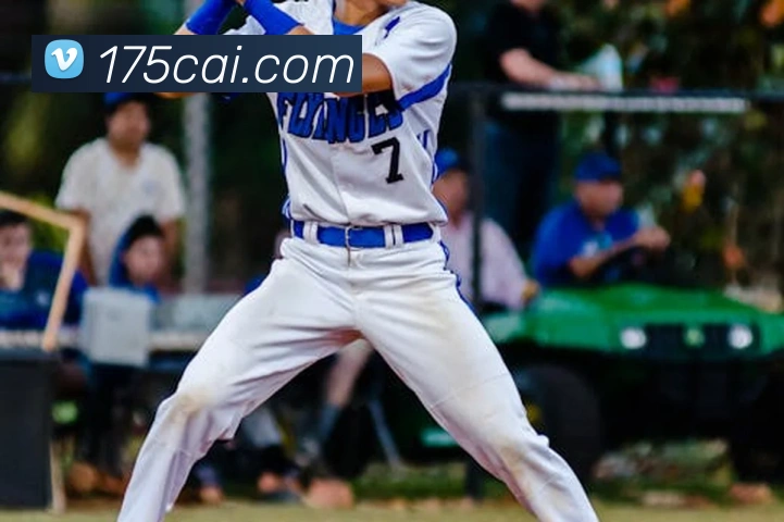 App Interface Preview